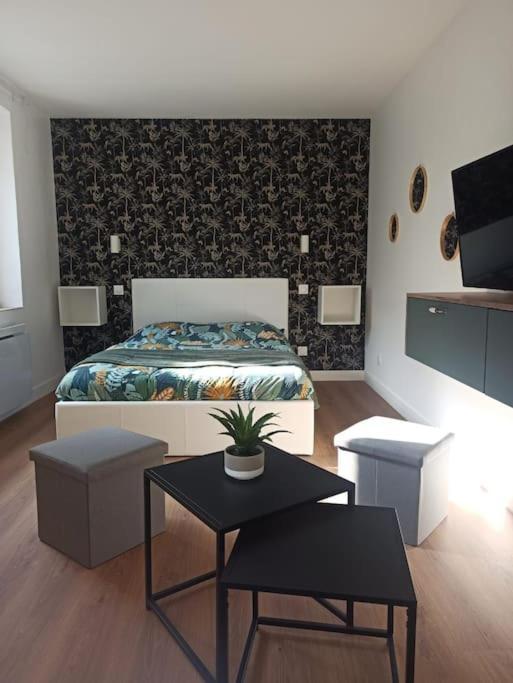 Superbe Appt Avec Cour Et Parking Gratuit A 5Min De La Cite Medievale Καρκασόν Εξωτερικό φωτογραφία